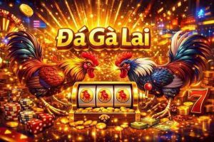 Đá Gà Lai HIT456 – Trải Nghiệm Đá Gà Đỉnh Cao